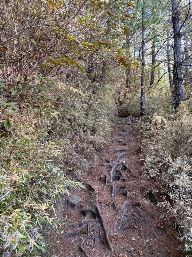 志佳陽單攻｜日出光影 · 山頂展望_868846