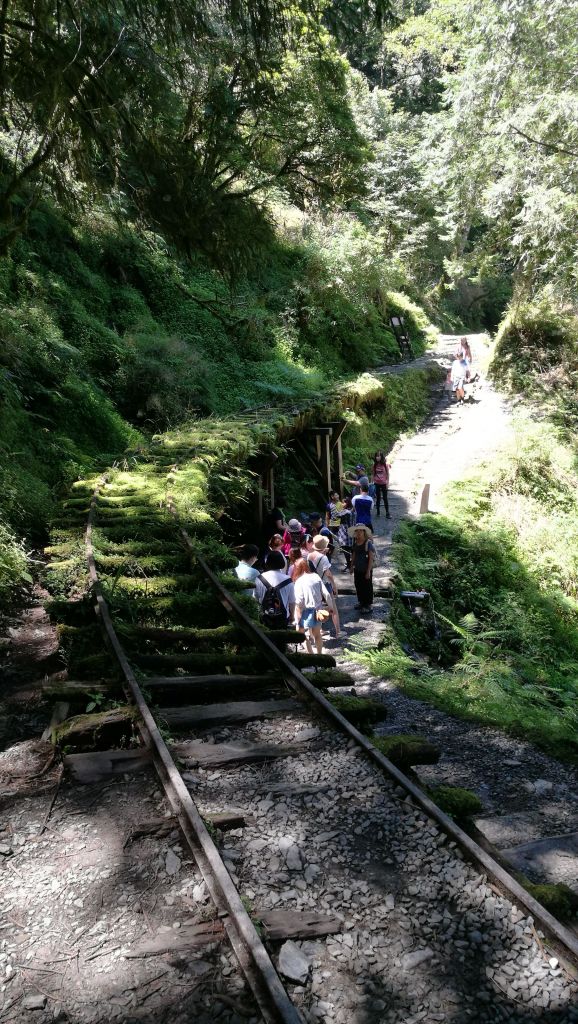 太平山國家森林遊樂區_374658