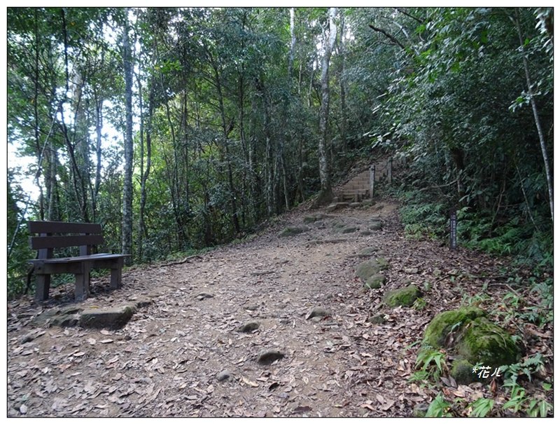 馬那邦山(小百岳)/上湖登山口_2427047