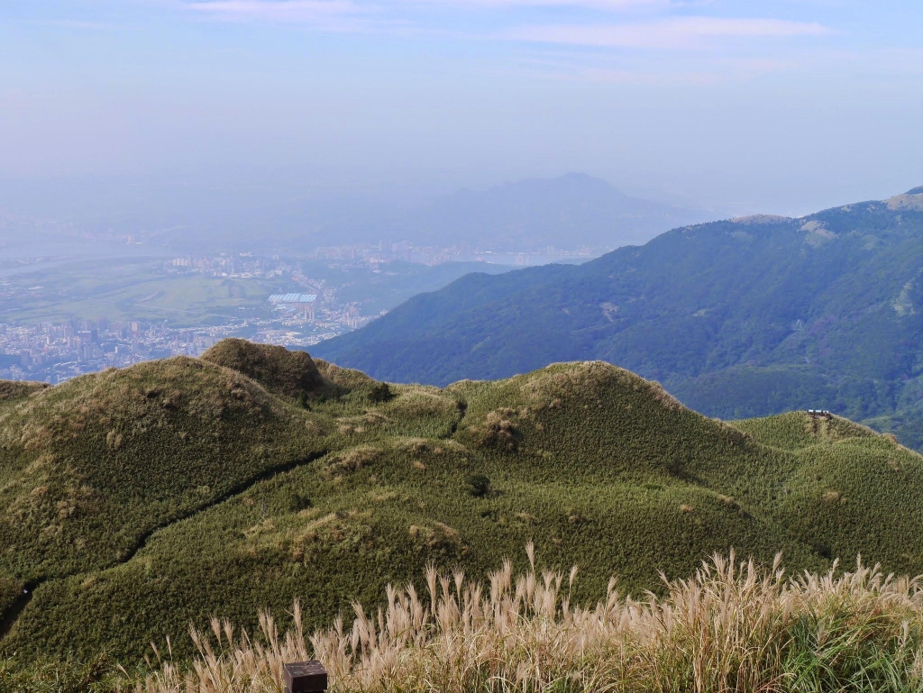 七星山主東峰步道 賞秋芒_1170