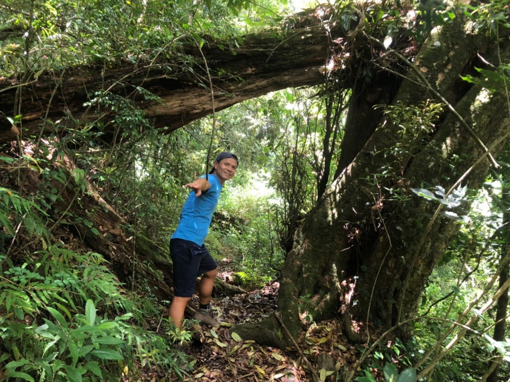 立鷹山.合歡北峰+合歡西峰【全力以赴解鎖_979649