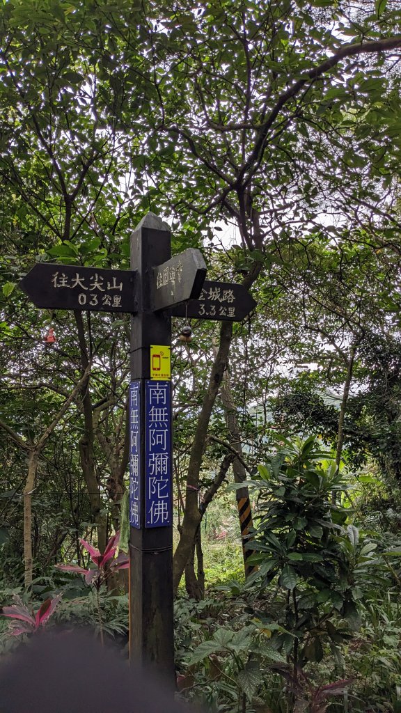 20230124_年初二_新店文筆山_土城清水大尖山_新加坡嶺_青龍嶺_2011183