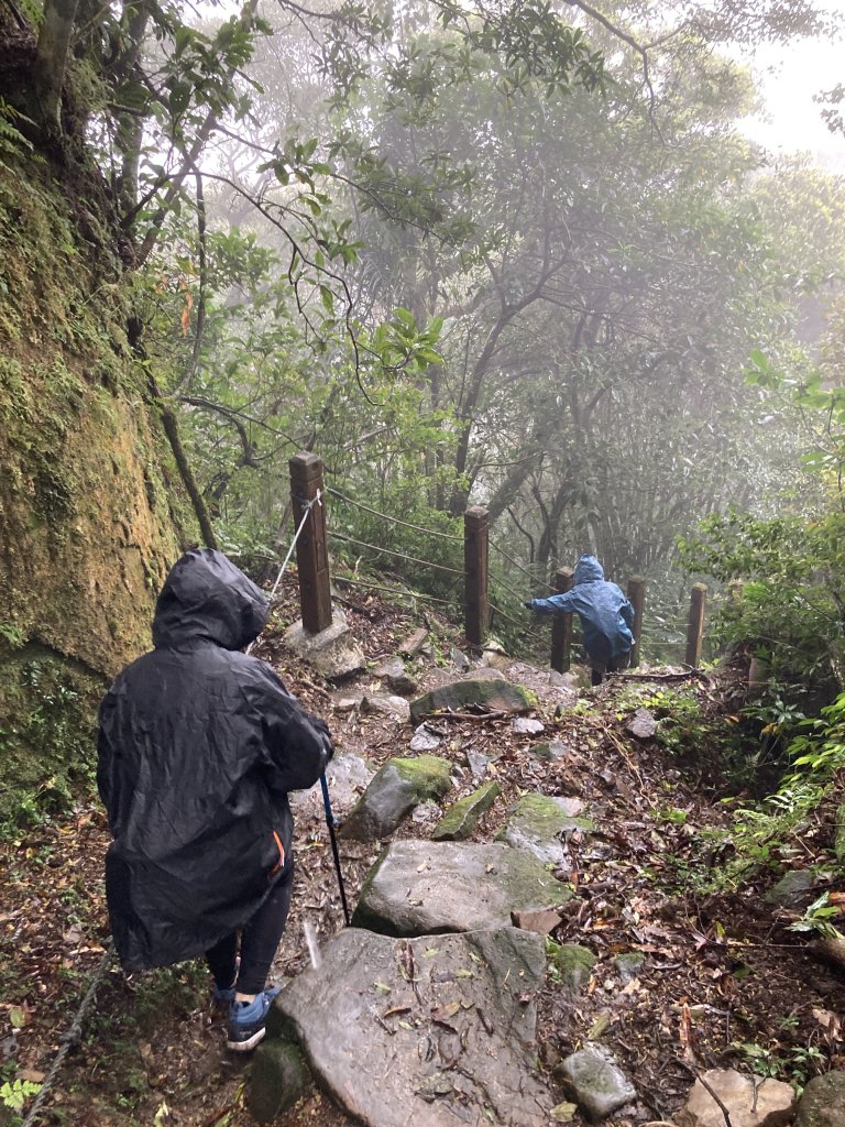 獅仔頭山登山步道_2437095