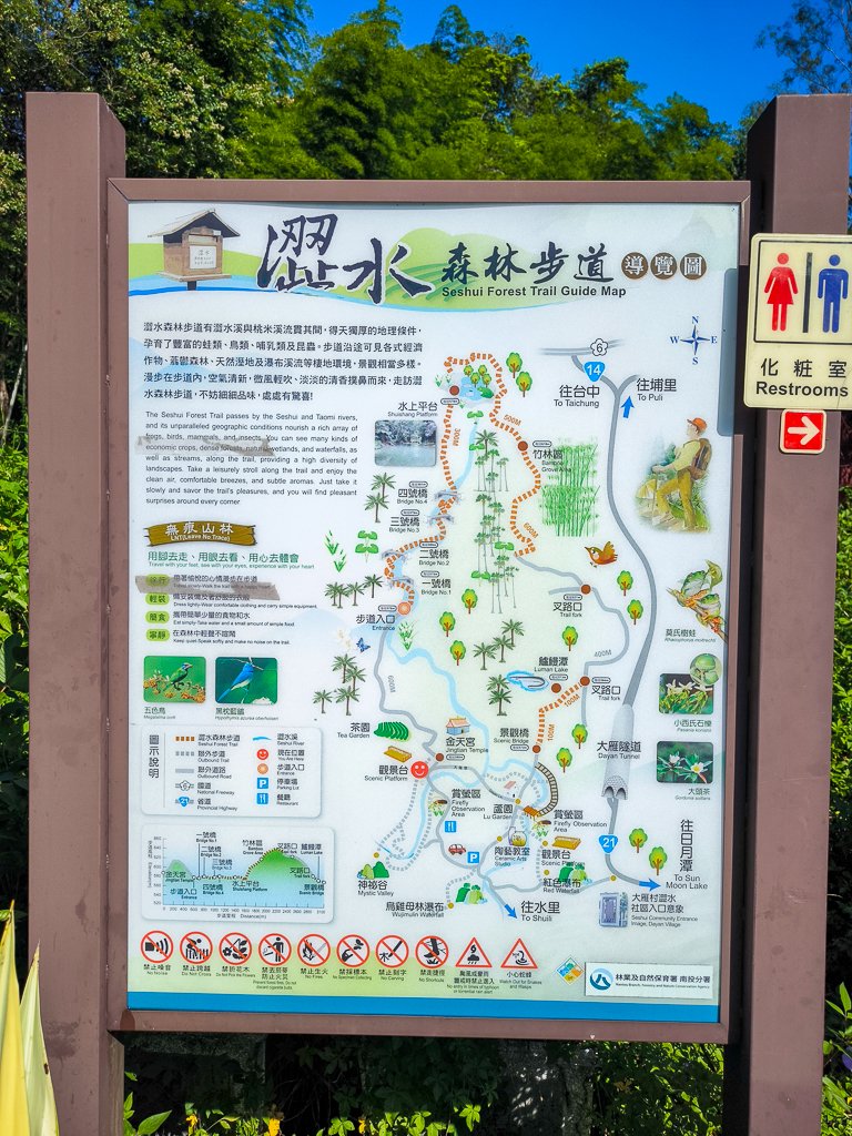 2024-08-22 澀水森林步道_2578340