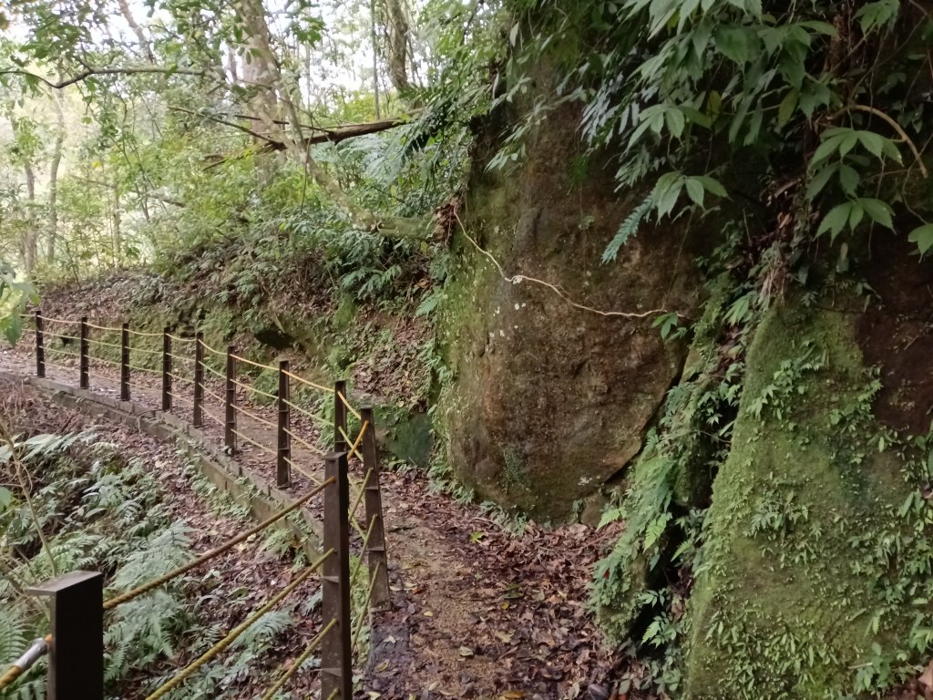 蝙蝠洞步道+觀音洞步道+牌子山+金平山南峰+金牌山+觀音洞步道(金牌逆縱走)_2747801
