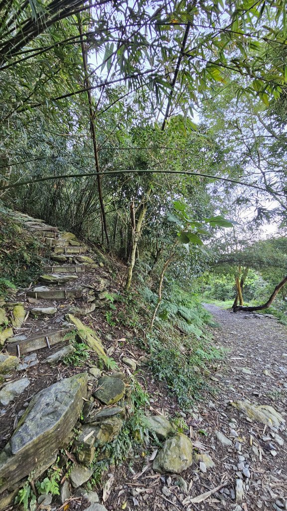 【尾寮山靜修日：一人一山，一念清明，山無語，我自省】🌿_2937941