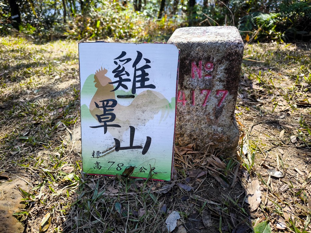 2025-01-12 白雞山、雞罩山、雞罩山前峰、鹿窟尖_2690642