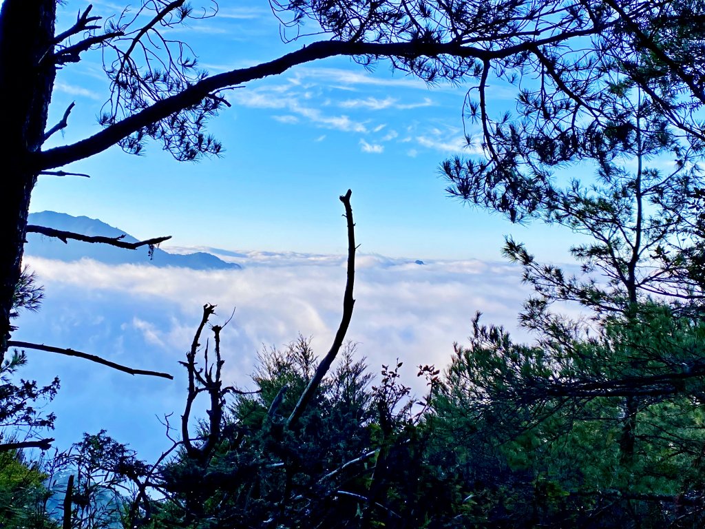 小關山海諾南山3日行--一路的霧淞美景D3  2022/1/13_1582613