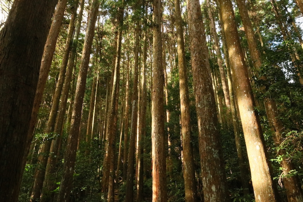 加里山之行_256974