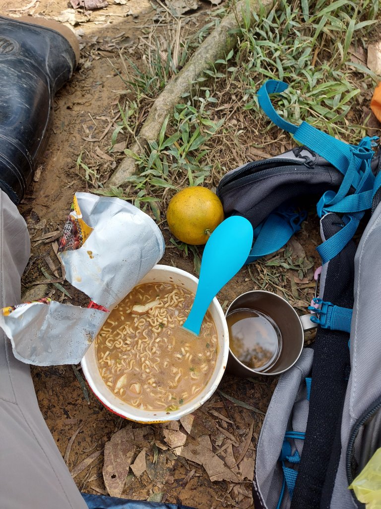 1100102樟之細路：龍潭-關西_1232286