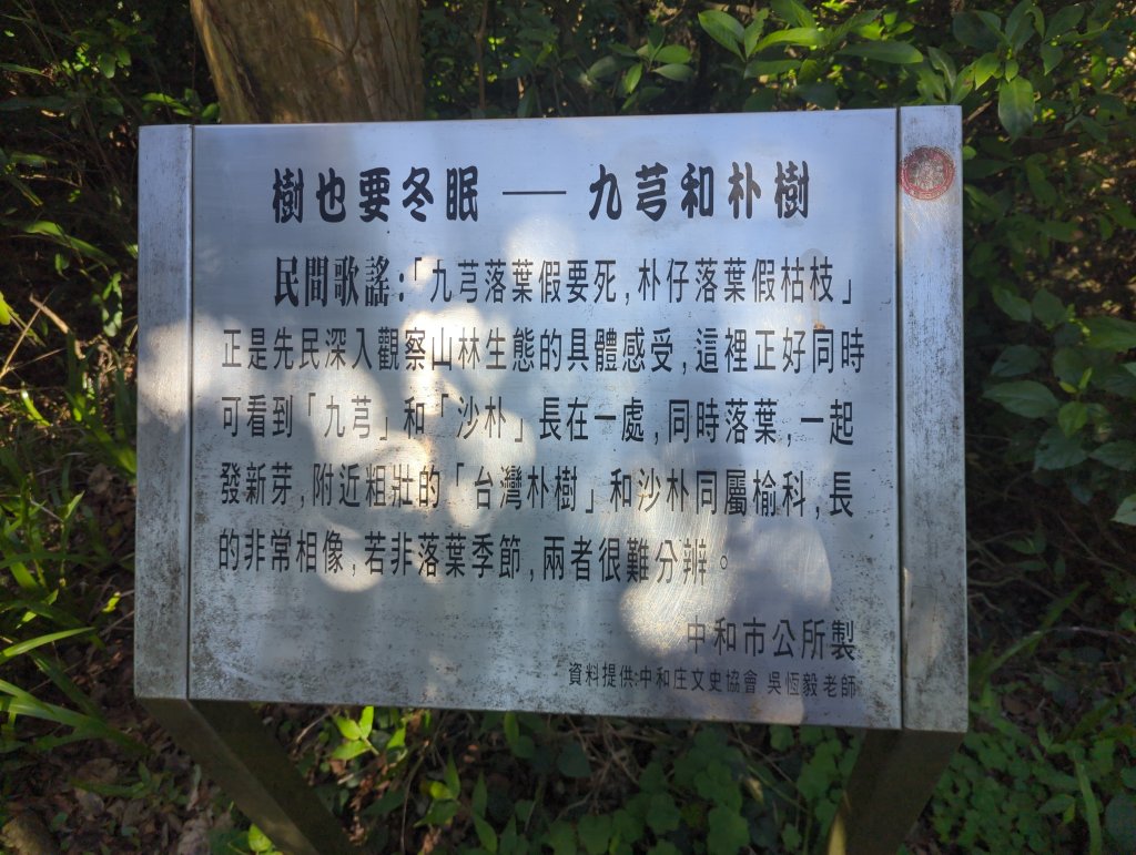 2026.01.25－微笑山線：【天上山系】烘爐地土地公段_2994560