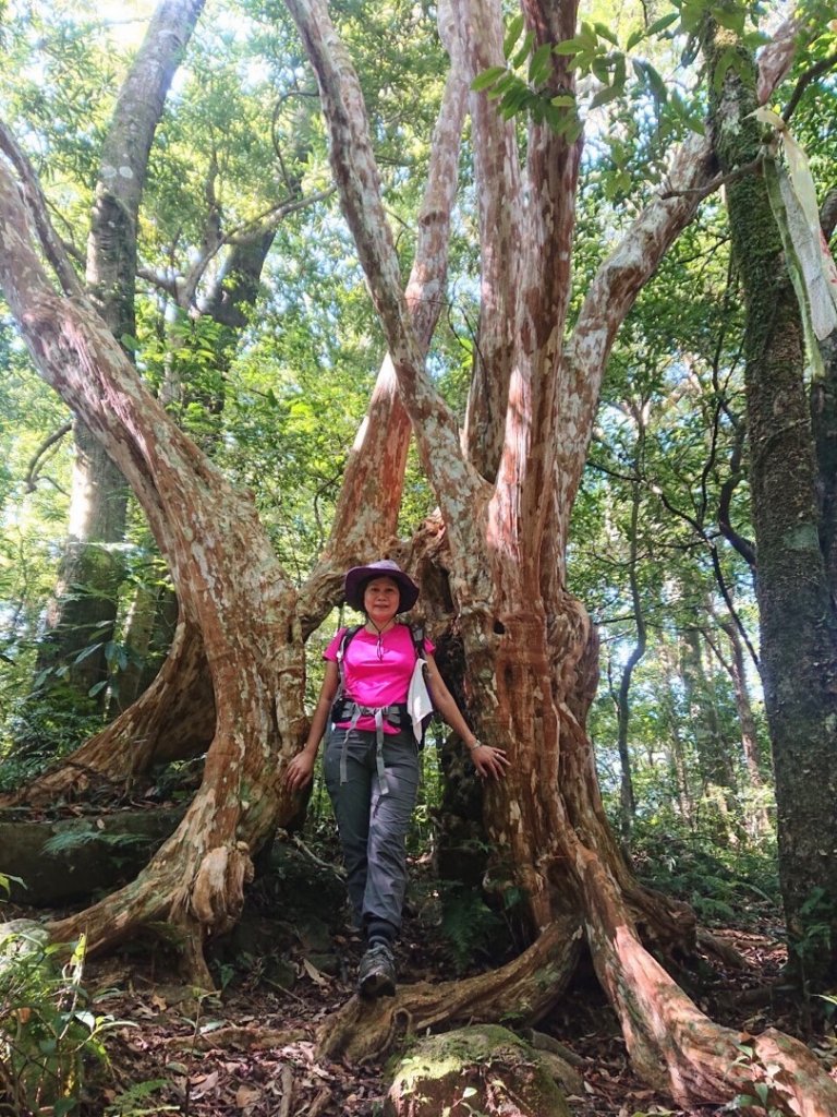 貴妃山、那結山O走_1478354