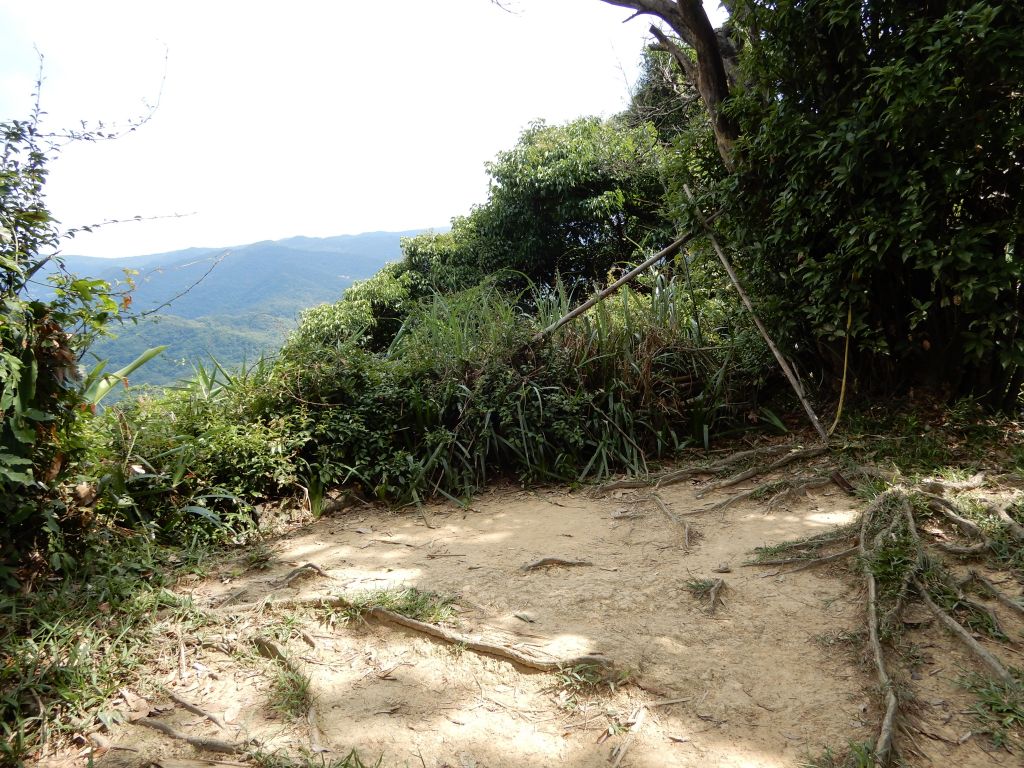 20180701_內湖郊山_359927