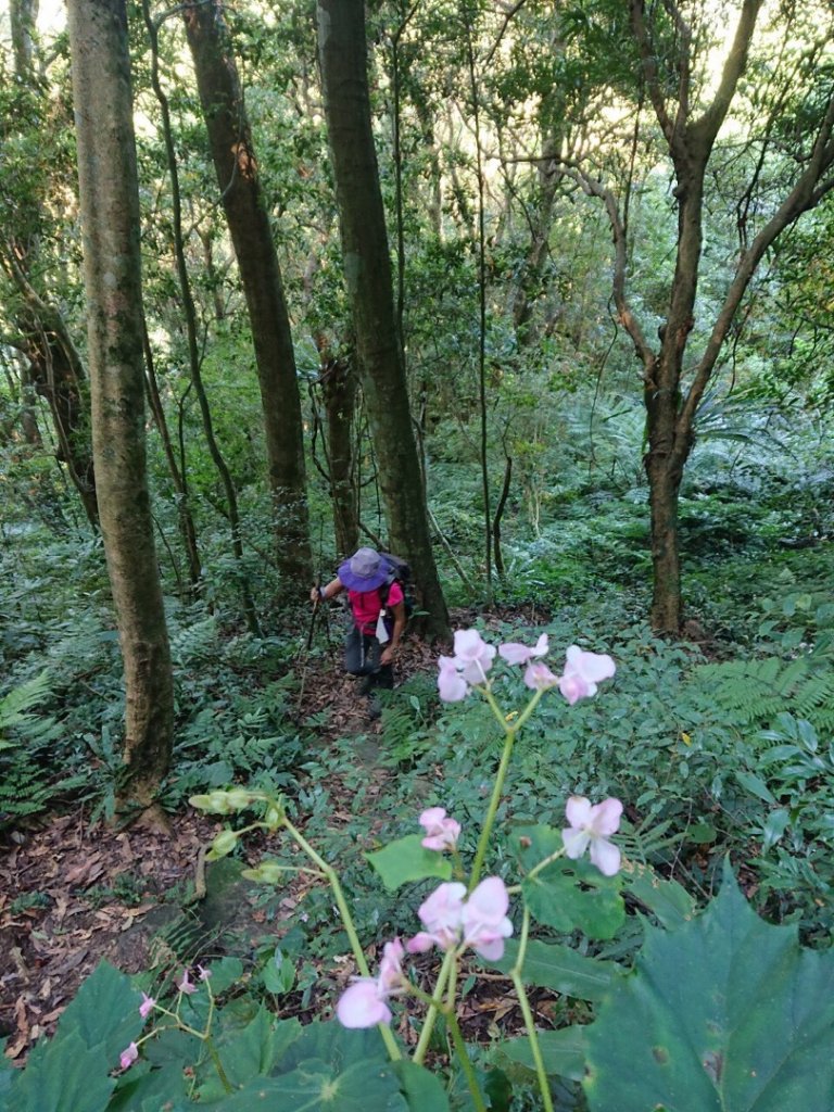 貴妃山、那結山O走_1478539