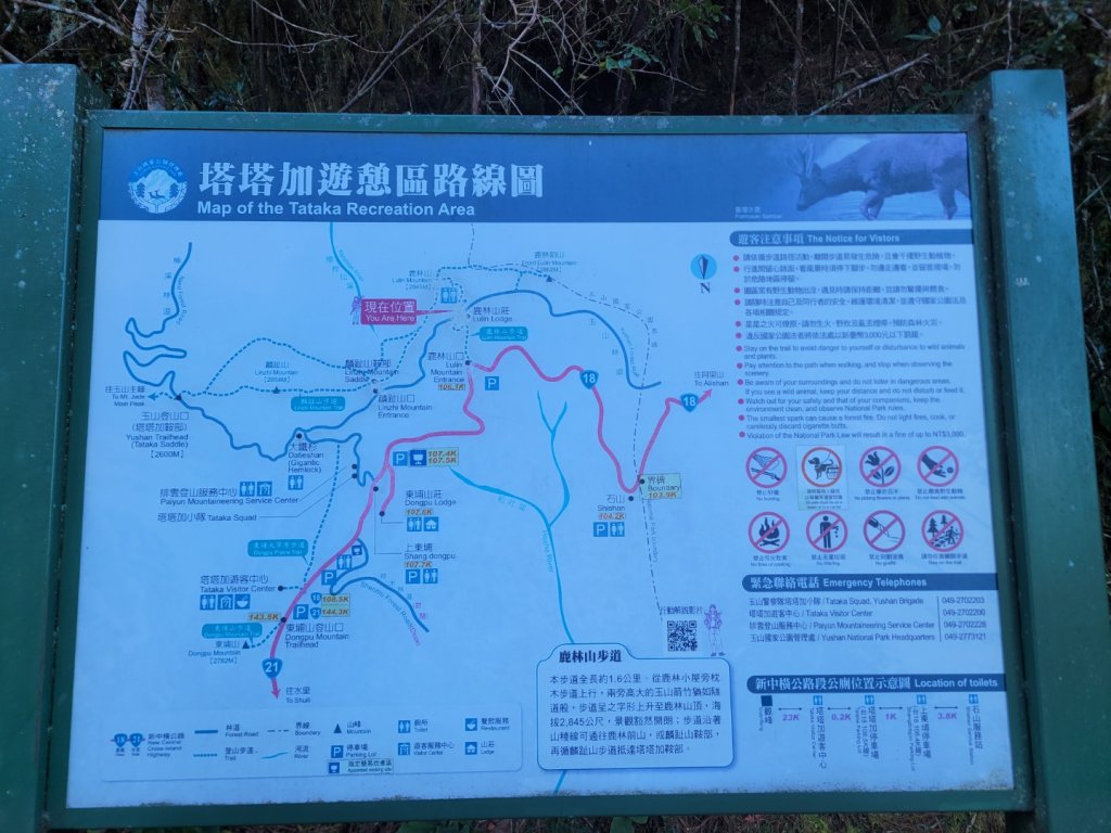 塔塔加三山+東埔山_2016744