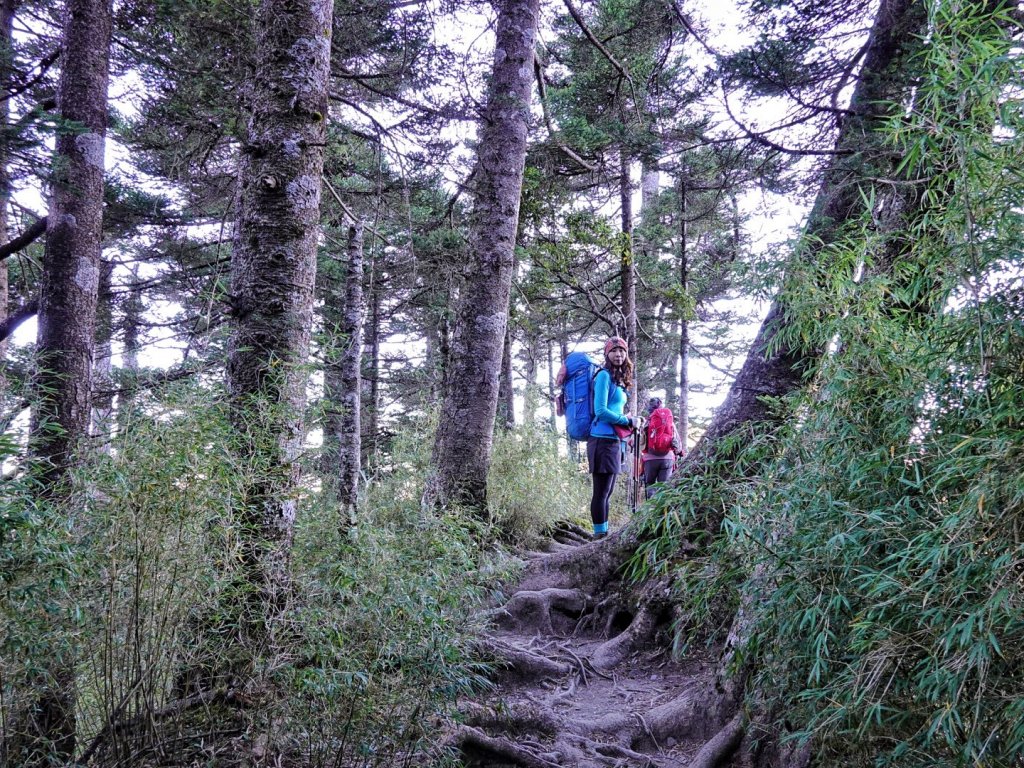 奇萊主峰（九峨）奇萊北峰（十峻） 三日行_1922032