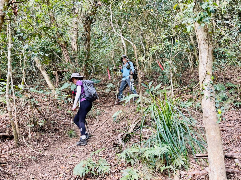 1110227美輪山_1621644