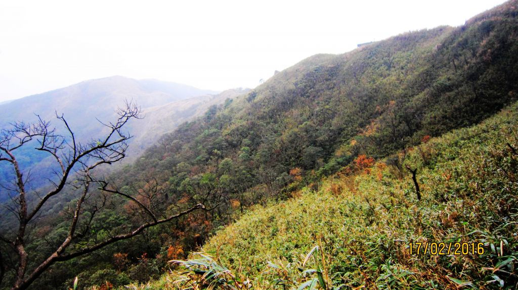  聖母山莊+三角崙山 = 蘭陽名山美境 _175603