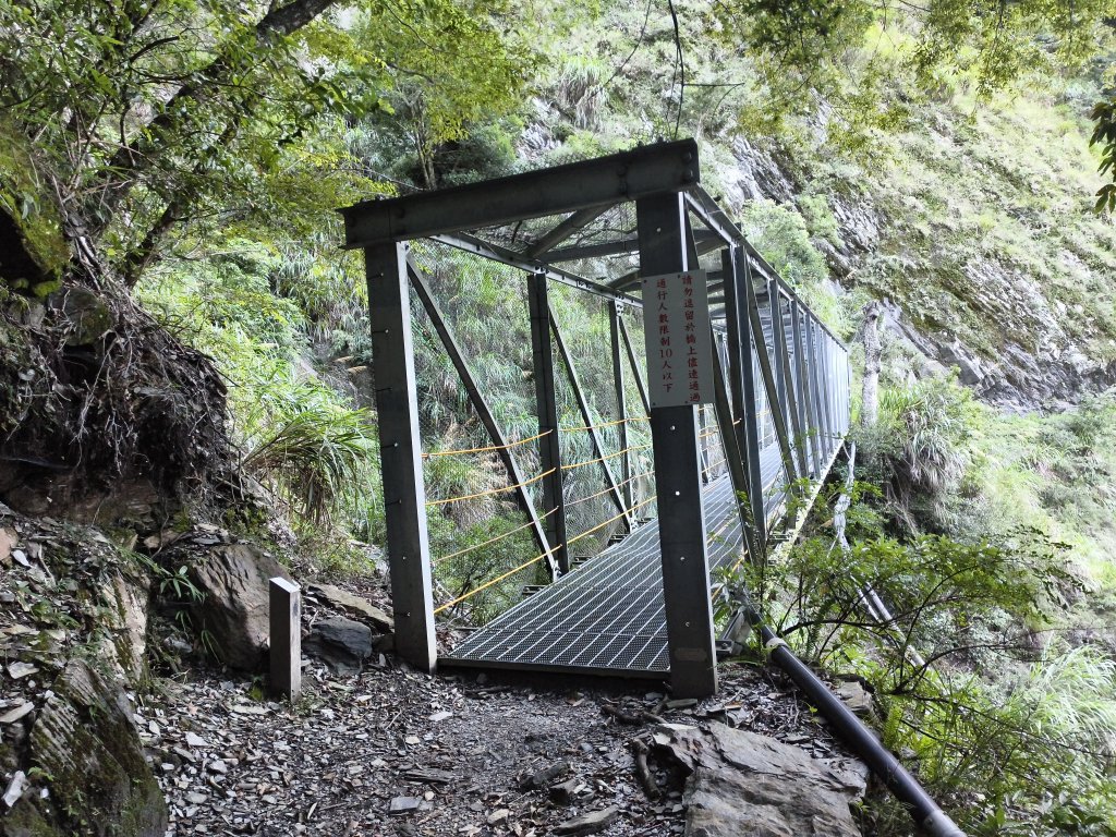 [玉山尋寶任務-07/12] 2025_0824 八通關雲龍瀑布步道_2870523