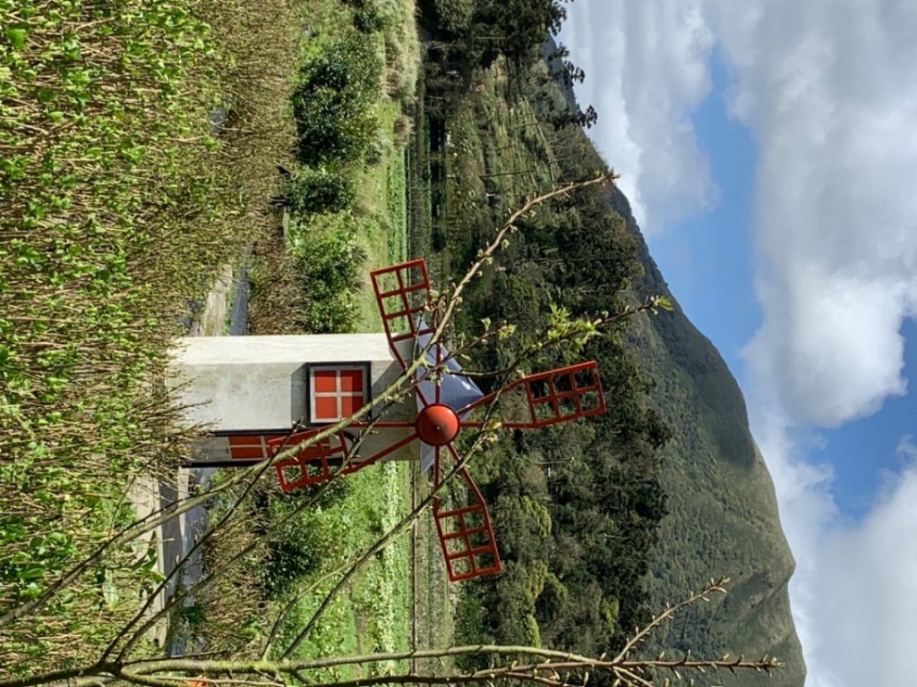 台北大縱走第二段_1635008