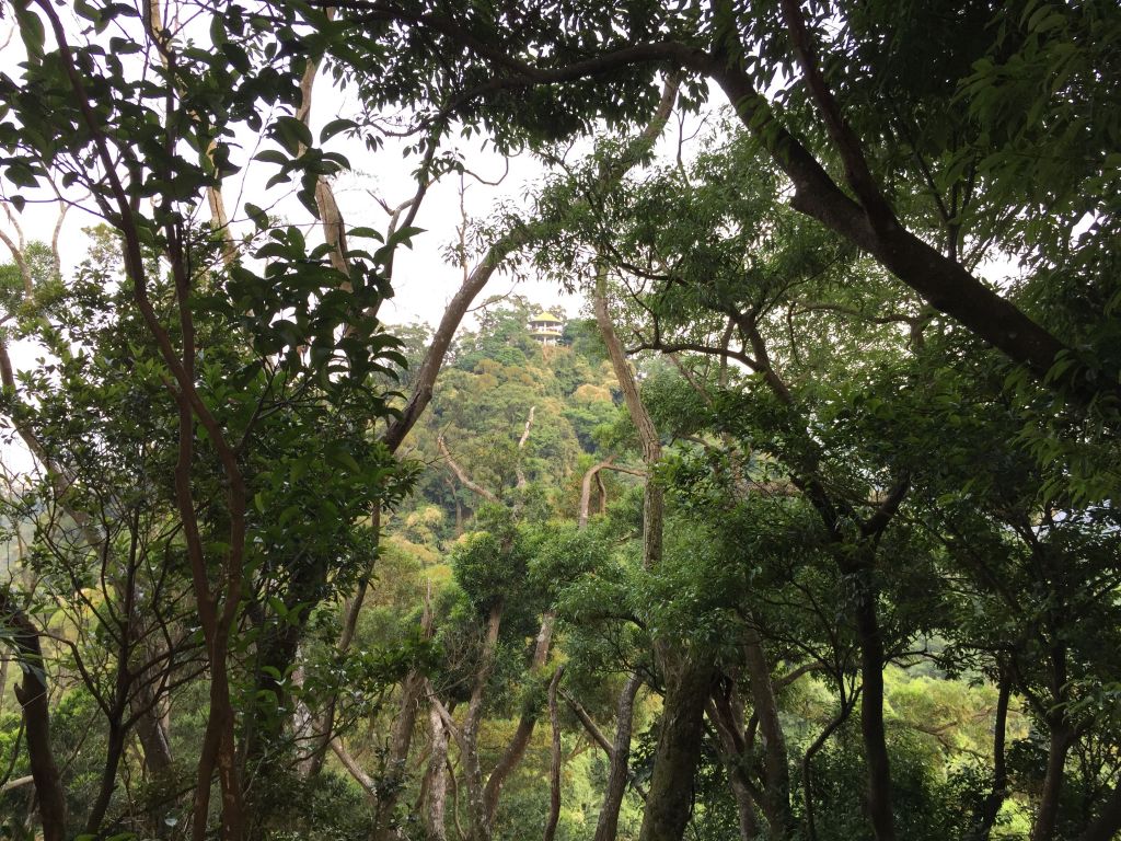 獅頭山(小獅山一,二,三峰)_332471