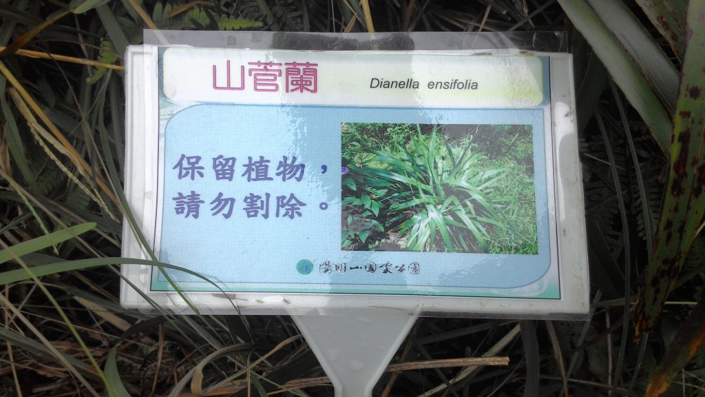 陽明山_夢幻湖步道20151010_1961394