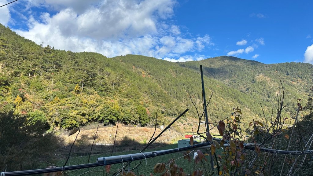 馬武霸下武陵_2962327