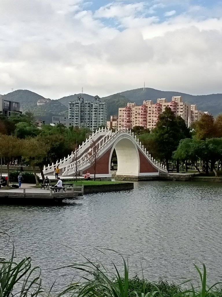 大湖公園 (防災公園)、湖山六號公園【走路趣尋寶】_1902708