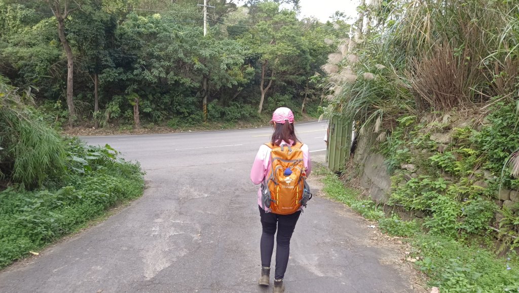 (姨婆趴趴走)第四十五集:新竹竹東三山（新具庄山、樹杞林山、員崠子山）環狀縱走_2662350