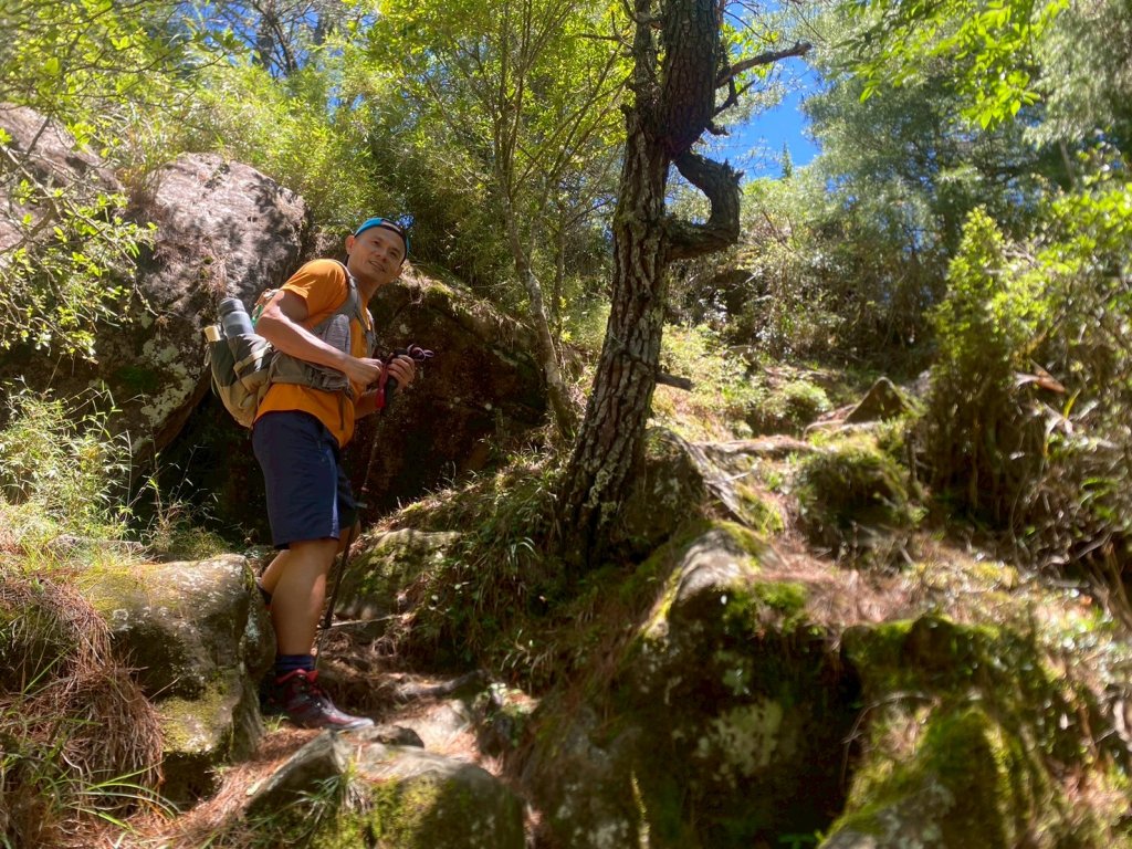 東埔山+東埔大草原步道【這裡的夏天冷颼颼】_2826515