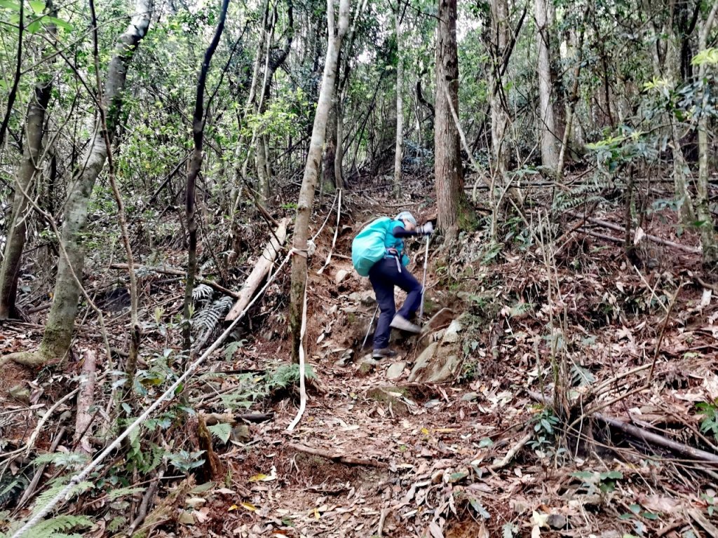 1090411油羅山_914191