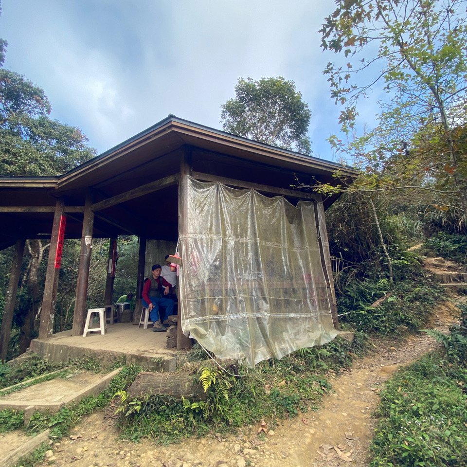 台南大凍山 1241M 小百岳#63_1270957