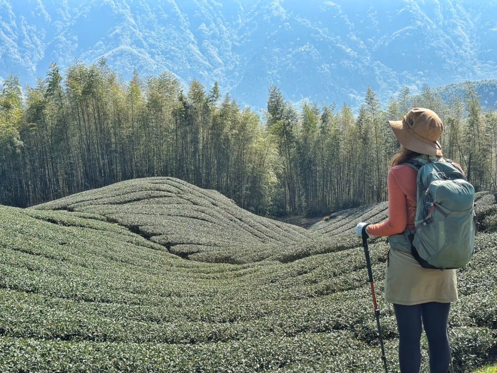 溪頭六連峰O繞_2741703