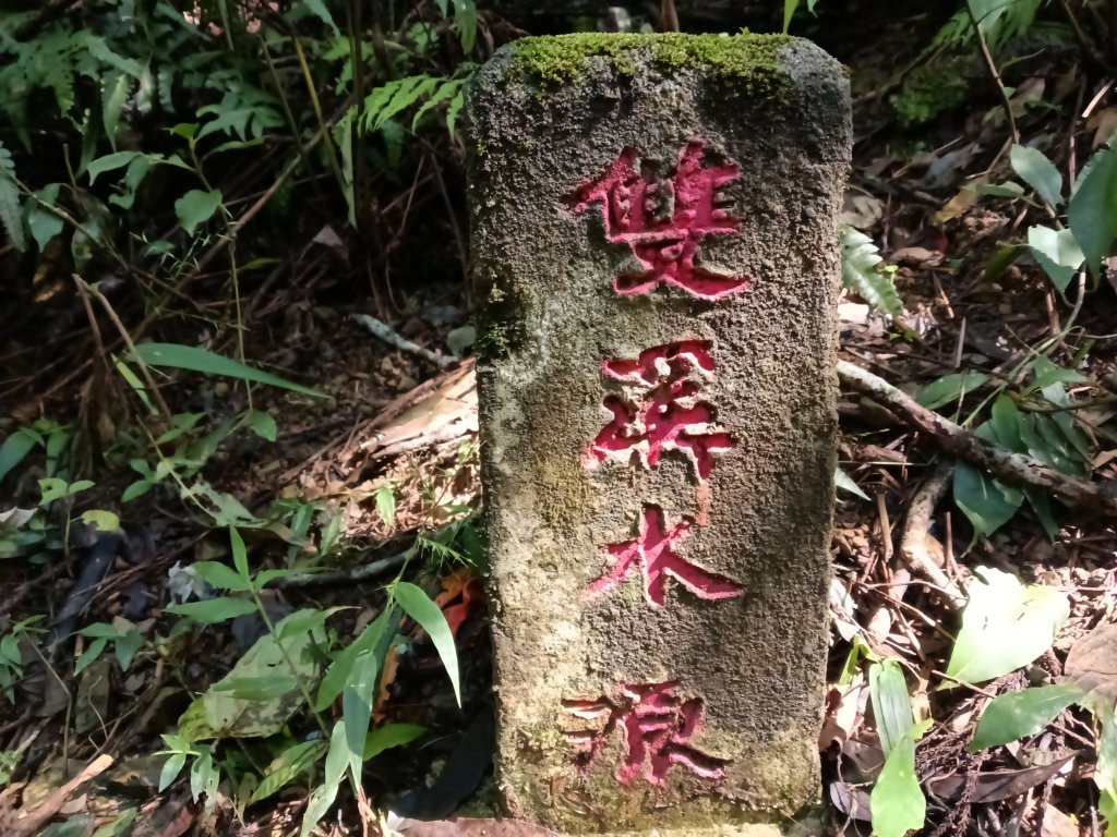 雙溪區雙坪一號橋+盤山坑山+土地公山+474峰+石硿子越嶺古道O型封面圖