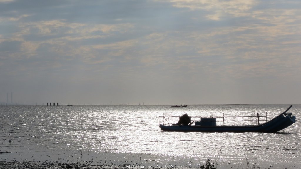 《彰化》海空夕照｜王功燈塔及芳苑海空步道健行賞冬候鳥20260110_2980314