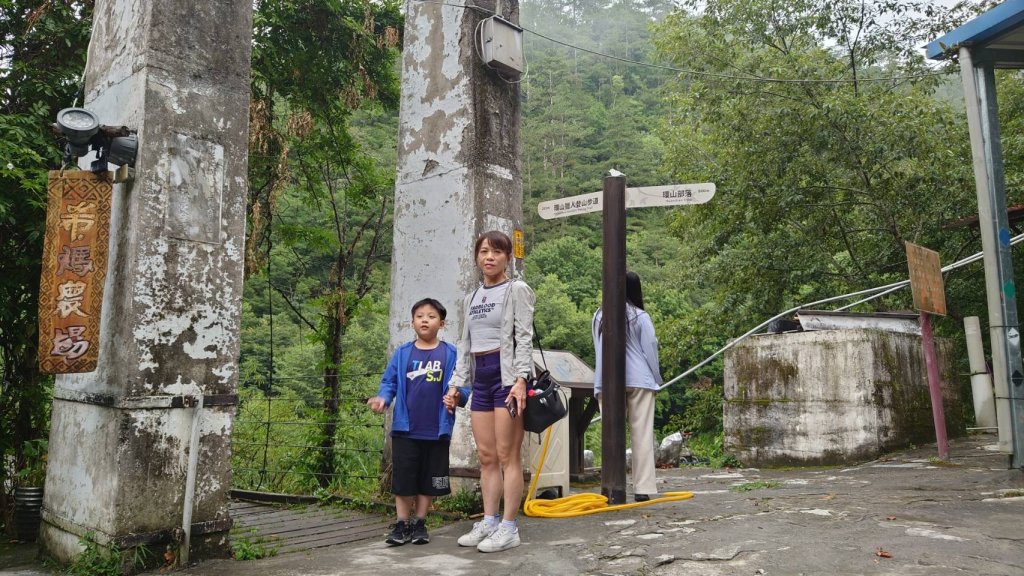 桃山瀑布封面圖