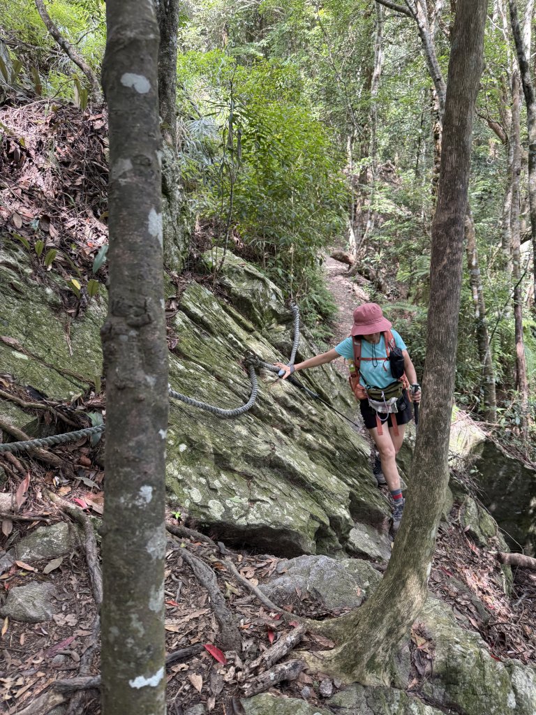 唐麻丹+蝴蝶谷O繞_2887837
