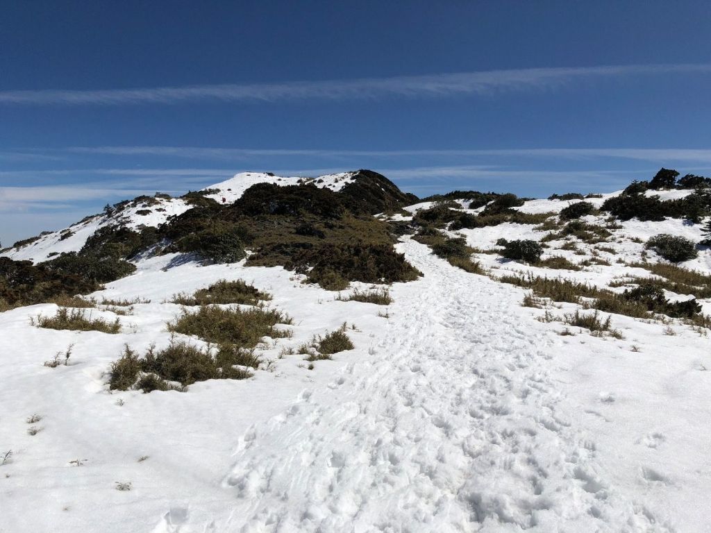 20180218糖霜酒桶大霸尖山_271411