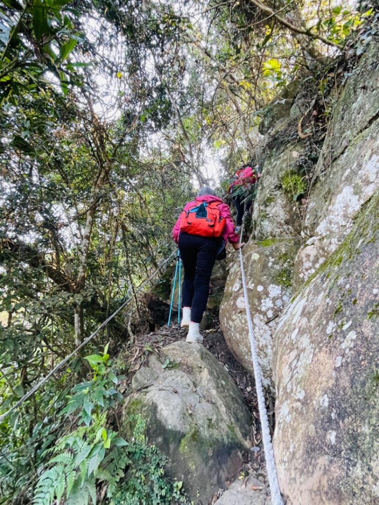 1140319仙山-仙山南峰_2738223