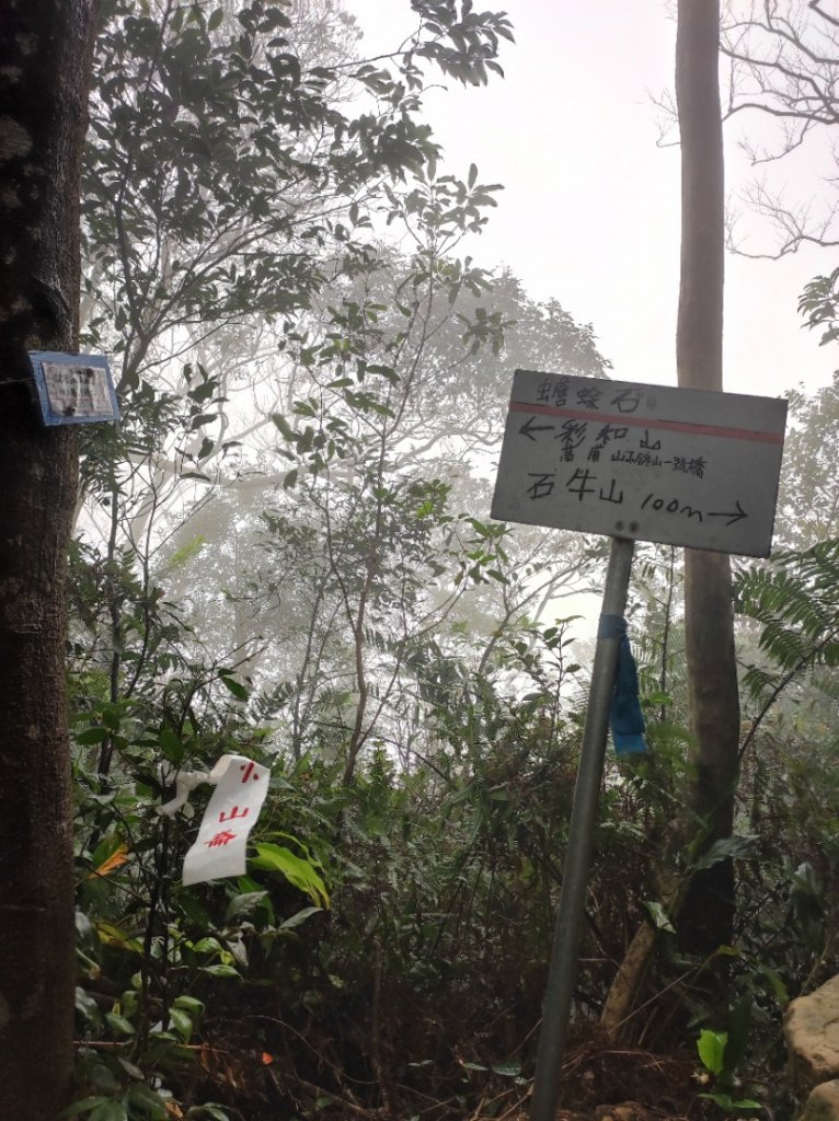 石牛山_2041208