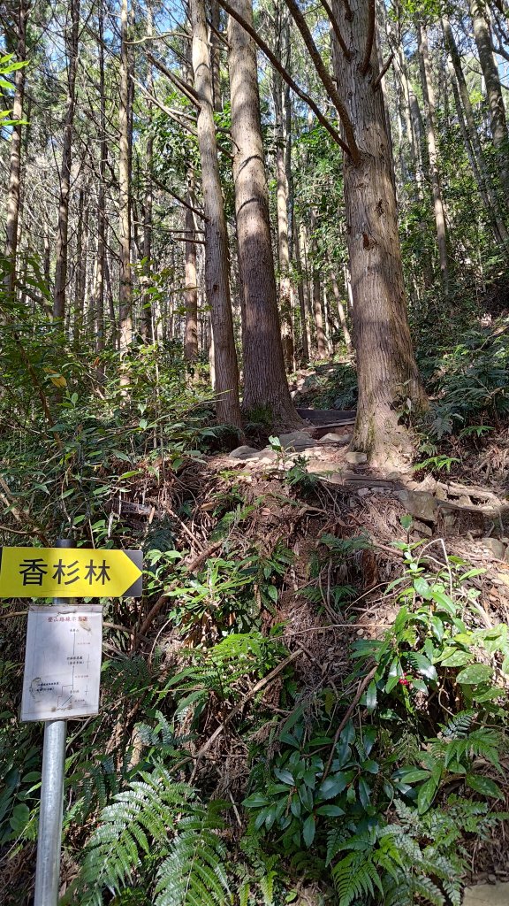 長壽山_2678040