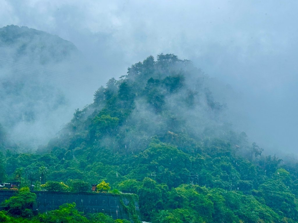 雨下的白毛山步道與白鹿吊橋_2805303