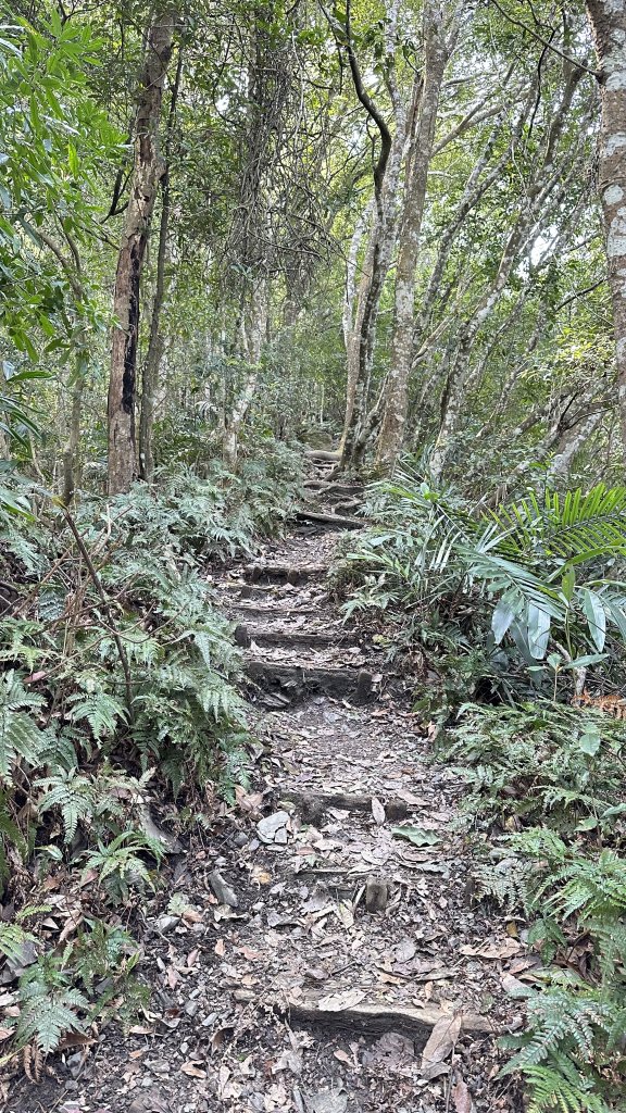 崩潰陡上的水雲三星～鳥嘴山（上島山）_2095265