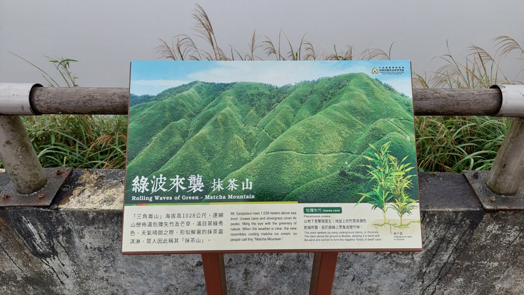 20221119-聖母登山步道（抹茶山）封面圖