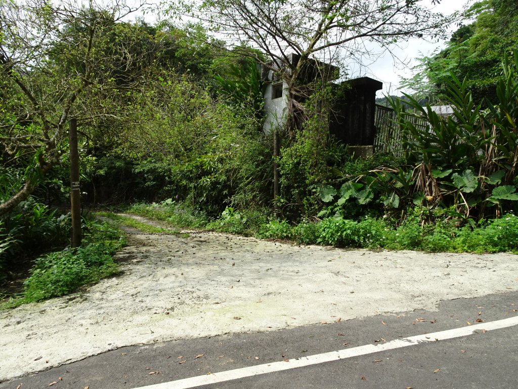 宜蘭小百岳4座~東門及羅東夜市美食之旅_1317662