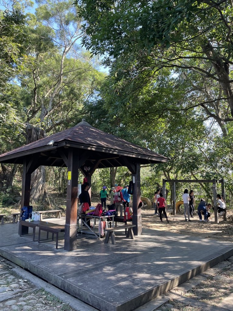 龍過脈森林步道_2662512