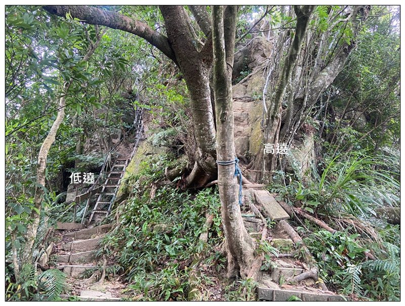 金龍湖、鷹石尖、老鷲尖、內溝山 O型一圈_2966649