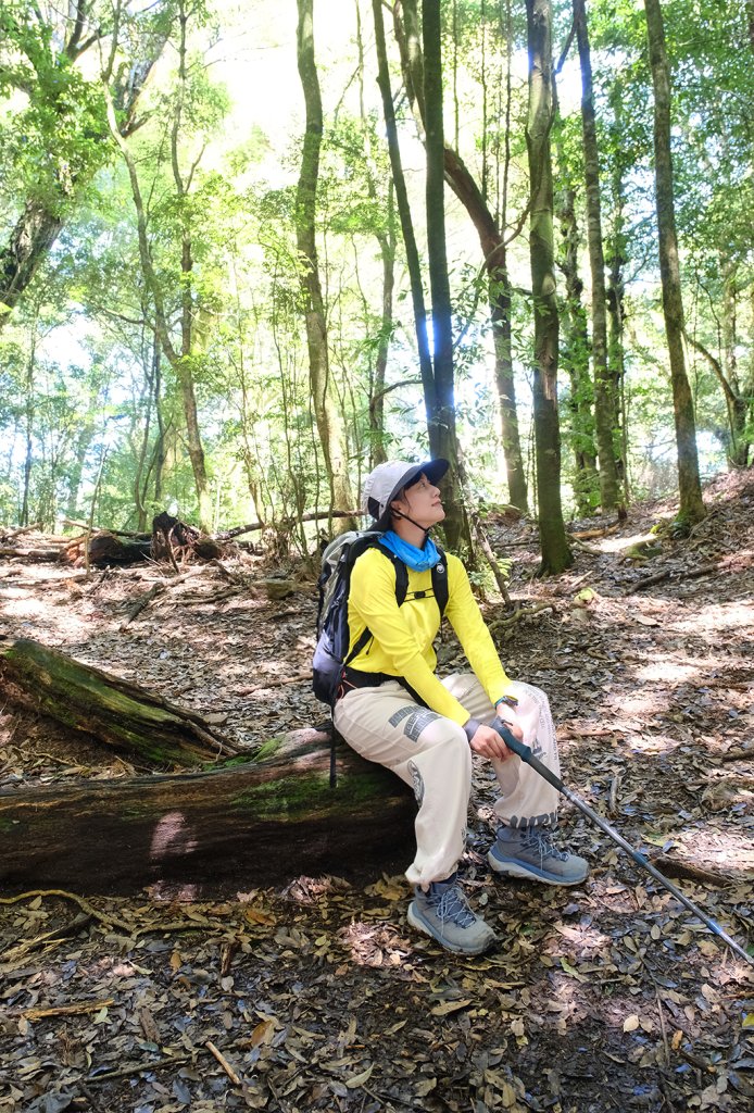 雪見大板根_2924673