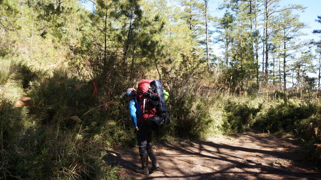 志佳陽雪山之毅_465691