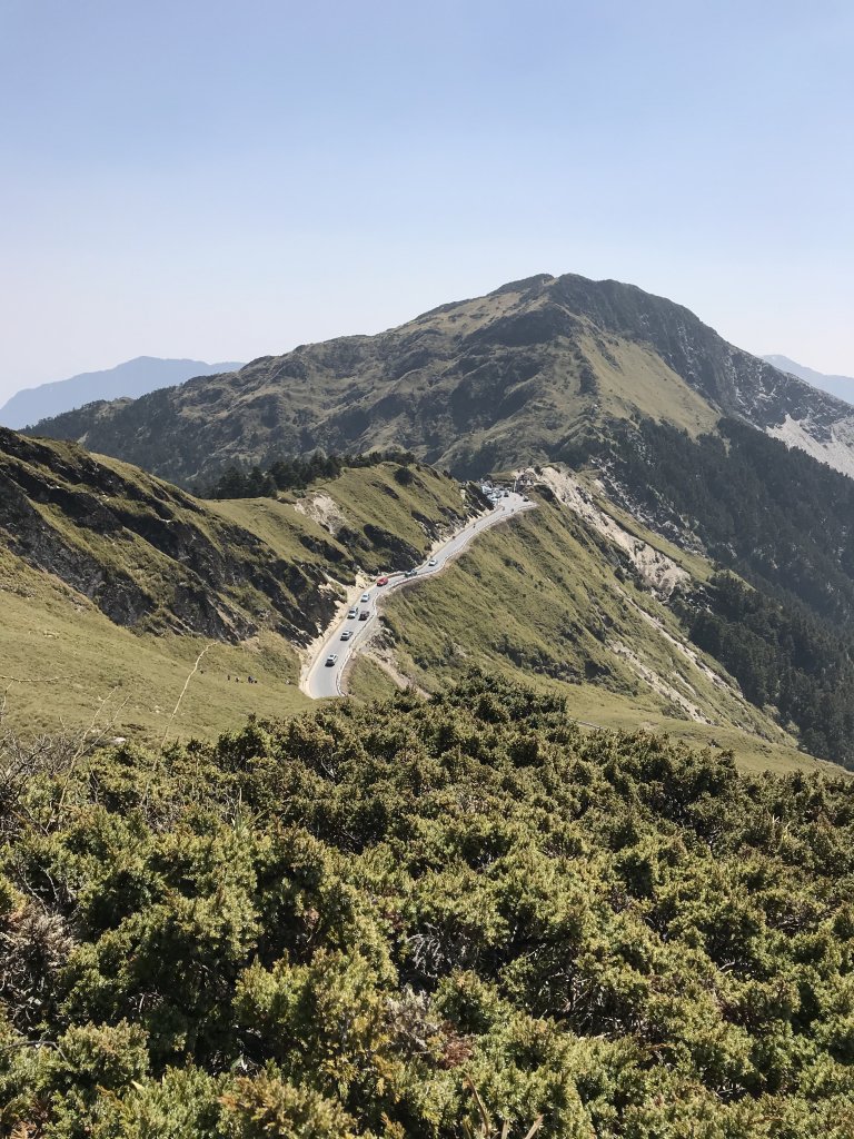 110年4月2日南投 合歡山主峰步道_1433061